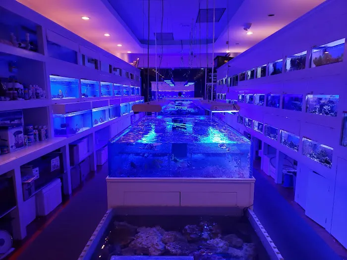 Advanced Marine Aquatics Picture 4