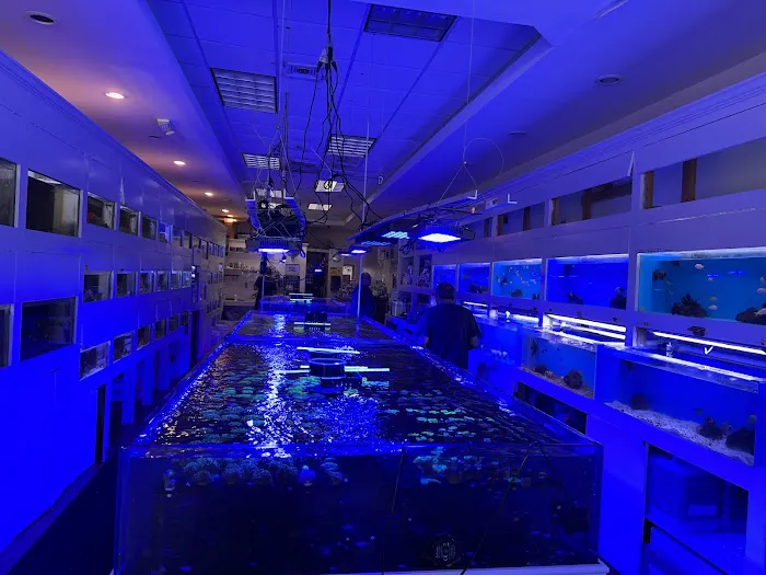 Advanced Marine Aquatics Picture 2