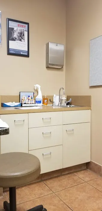 BluePearl Pet Hospital Picture 7