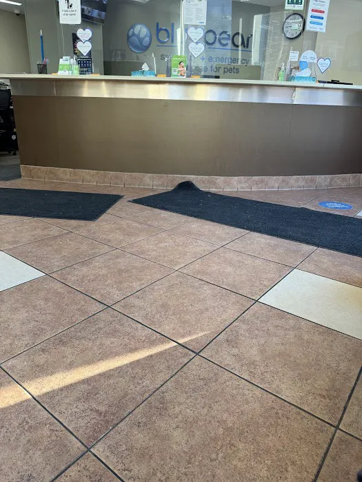 BluePearl Pet Hospital Picture 1