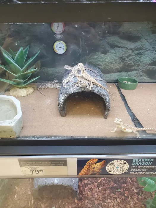 Petco Picture 5