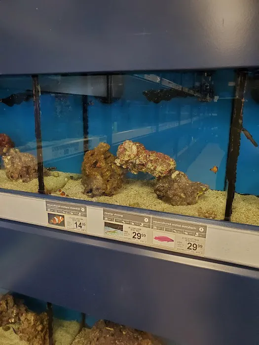 Petco Picture 3