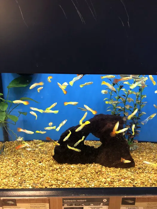 Petco Picture 2