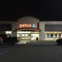 Petco ico