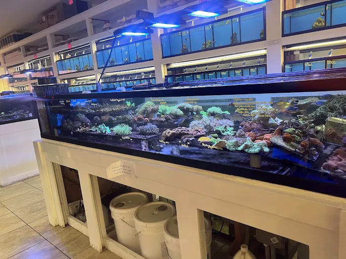 The Aquarium Shop Westbury Picture 1