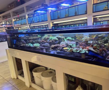 The Aquarium Shop Westbury