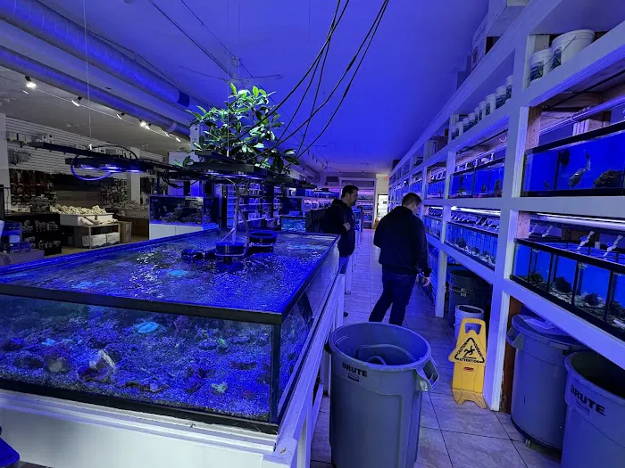 The Aquarium Shop Westbury Picture 5