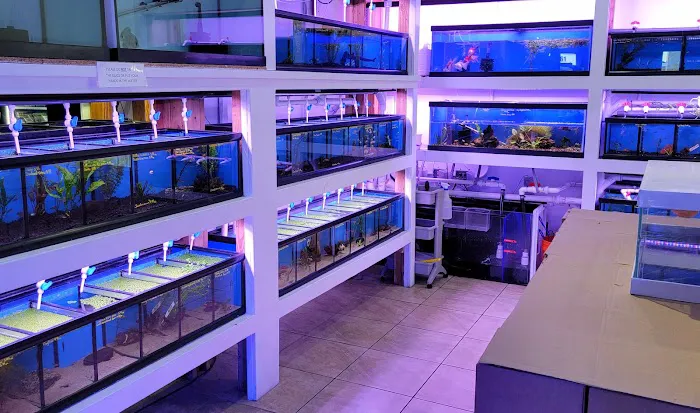 The Aquarium Shop Westbury Picture 3