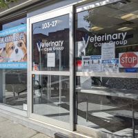 Veterinary Care Group - Forest Hills ico