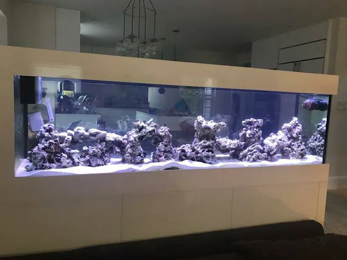 Pristine Marine Aquariums Picture 8