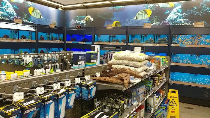 Petco Picture 3