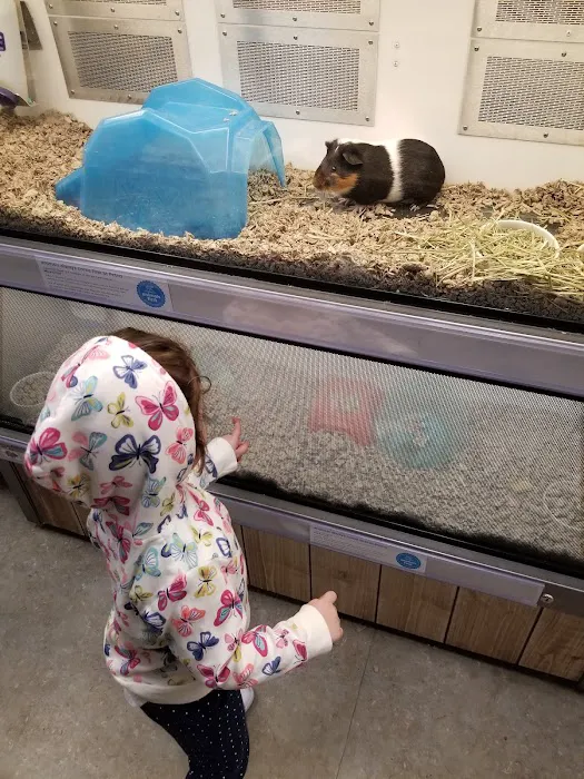 Petco Picture 5