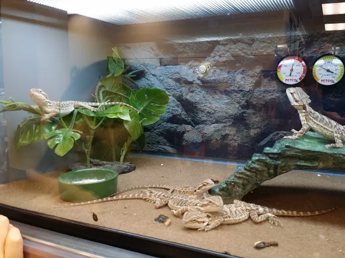 Petco Picture 6
