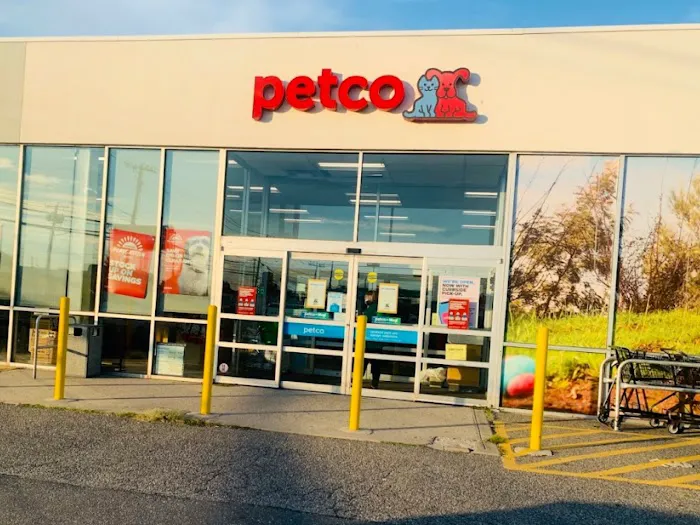 Petco Picture 5
