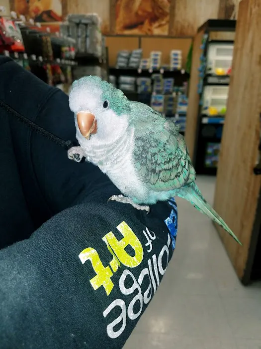 Petco Picture 4