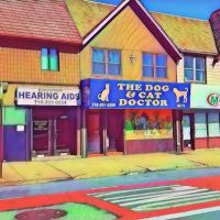 The Dog & Cat Doctor ico