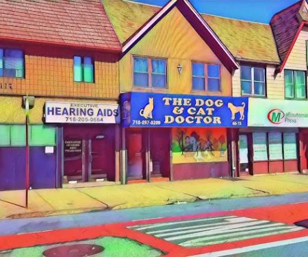 The Dog & Cat Doctor