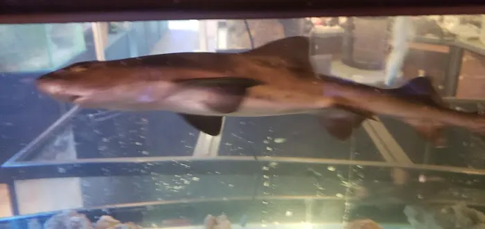 Aquarium Design Network Picture 4