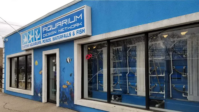 Aquarium Design Network Picture 10