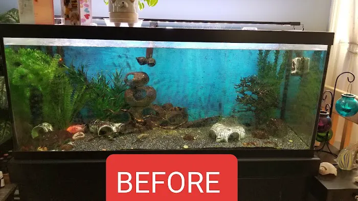 Tank Me Later Aquarium & Pond Services Picture 2