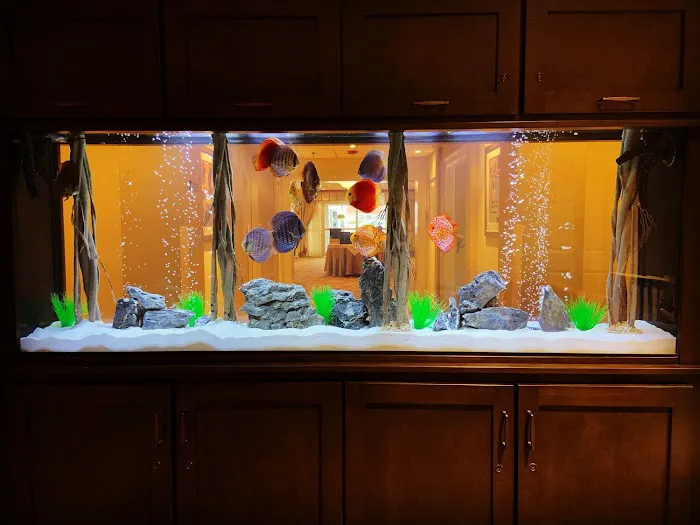 Tank Me Later Aquarium & Pond Services Picture 4