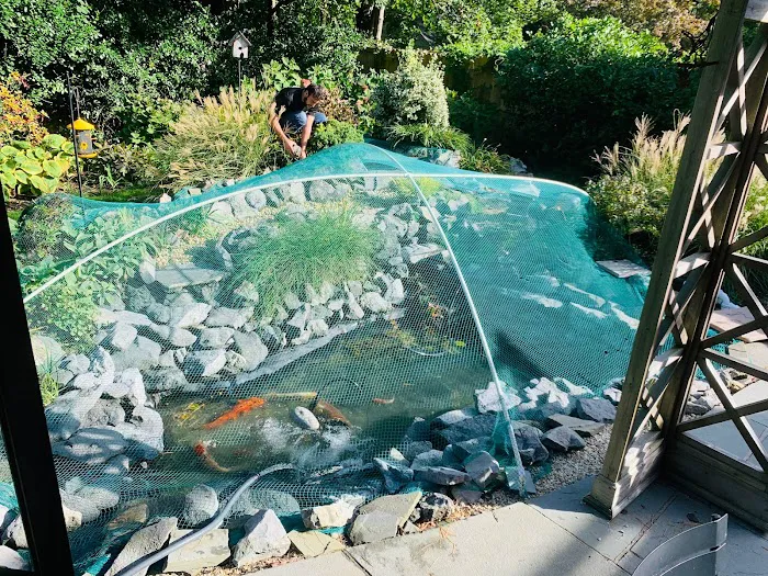 Tank Me Later Aquarium & Pond Services Picture 5