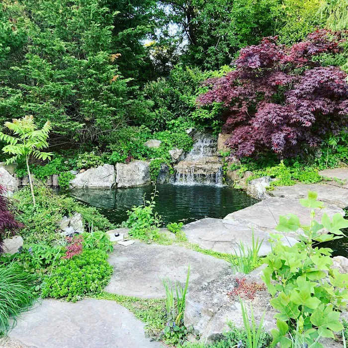 Tank Me Later Aquarium & Pond Services Picture 10