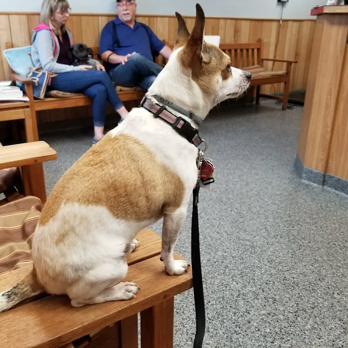 Rocky Point Animal Hospital Picture 10
