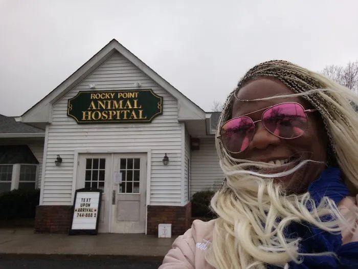 Rocky Point Animal Hospital Picture 3