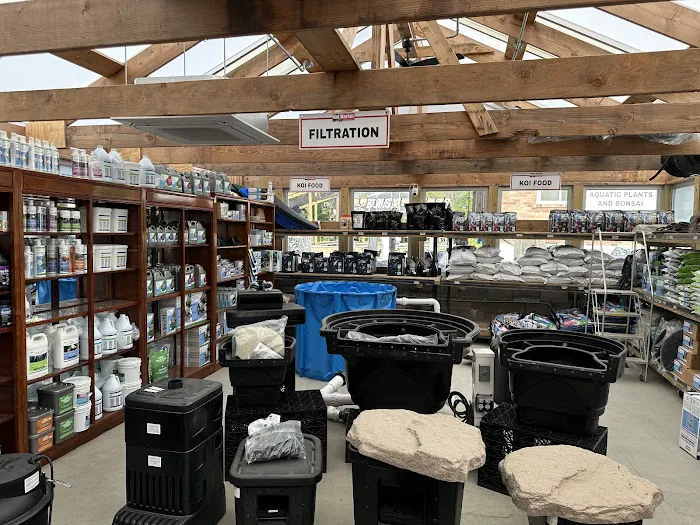Koi Market Aquatic Nursery Picture 4