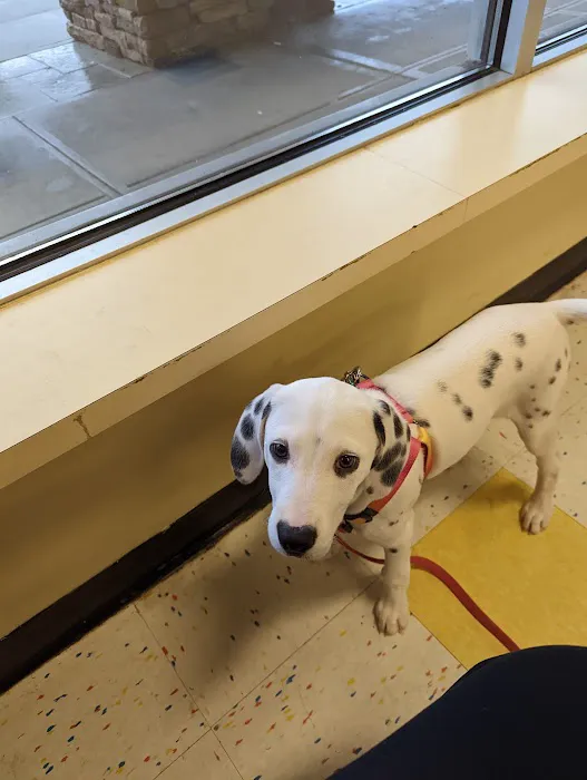 Petco Picture 2