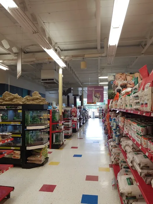 Petco Picture 6