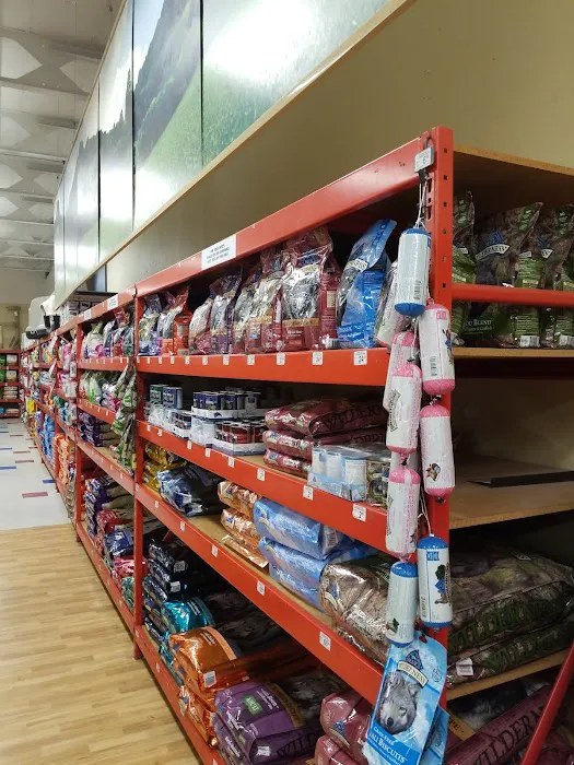 Petco Picture 8