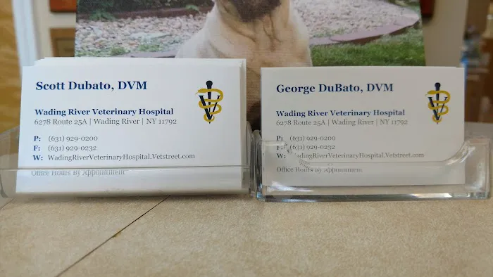 Wading River Veterinary Hospital Picture 3