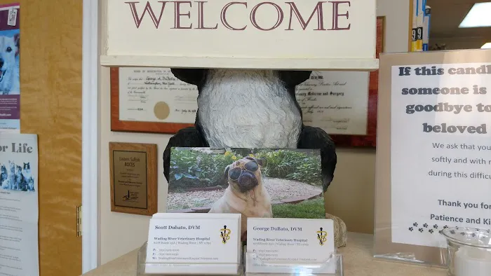 Wading River Veterinary Hospital Picture 2