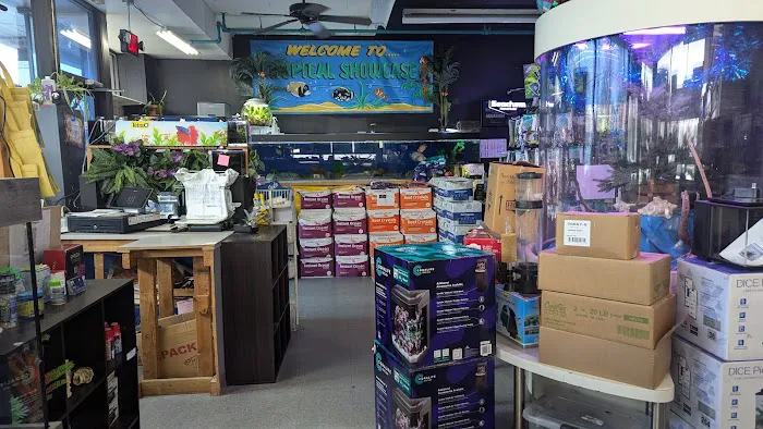 Tropical Showcase Picture 10