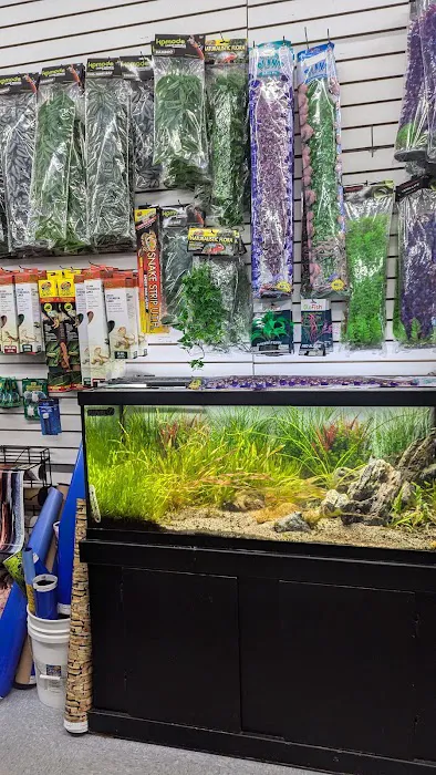 Tropical Showcase Picture 6
