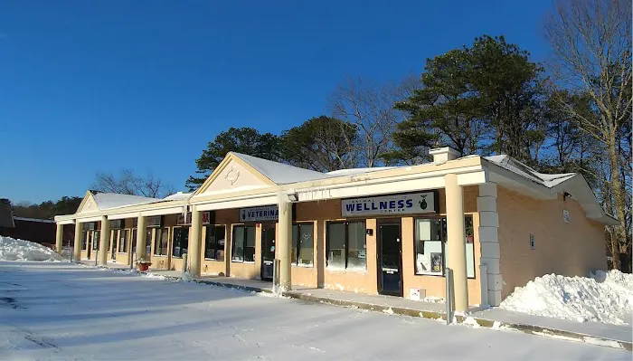 Integrative Veterinary Therapies, P.C. Picture 6