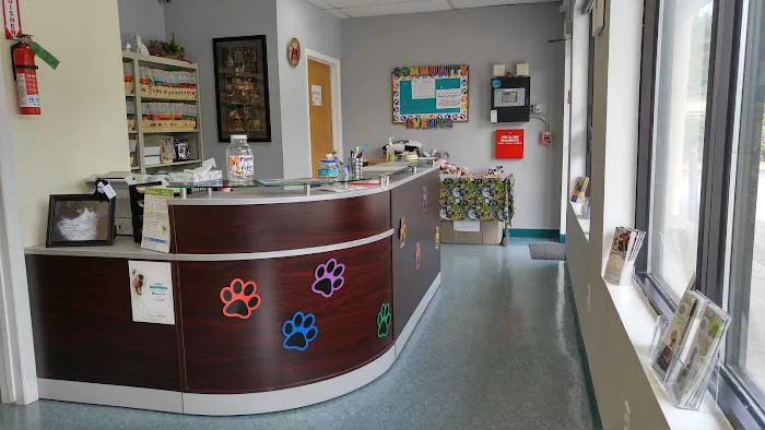 Integrative Veterinary Therapies, P.C. Picture 9