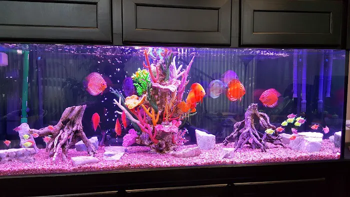 Aquariums Alive Picture 4