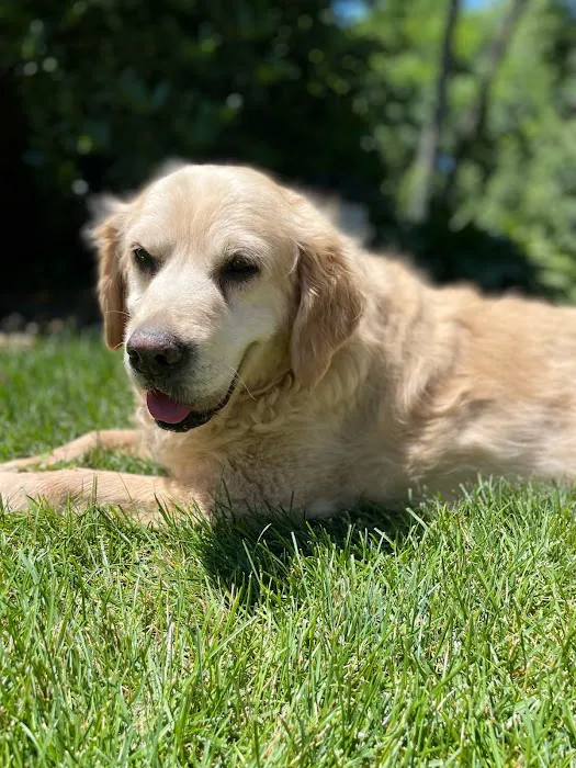 Shirley Veterinary Hospital Picture 4
