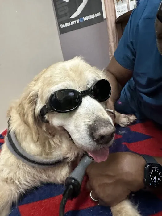 Shirley Veterinary Hospital Picture 1