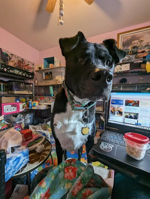 Center Moriches Veterinary Hospital Picture 1