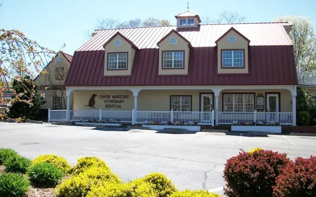 Center Moriches Veterinary Hospital Picture 8