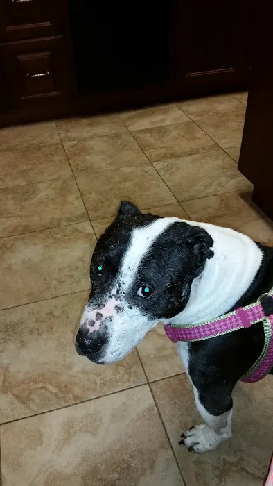 Center Moriches Veterinary Hospital Picture 10