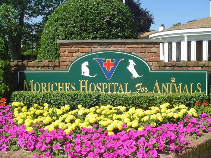 The Moriches Hospital For Animals Picture 4