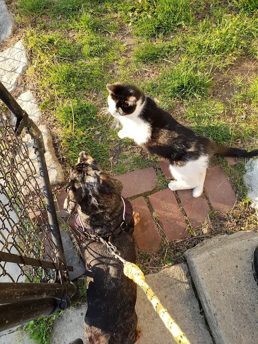 The Moriches Hospital For Animals Picture 1