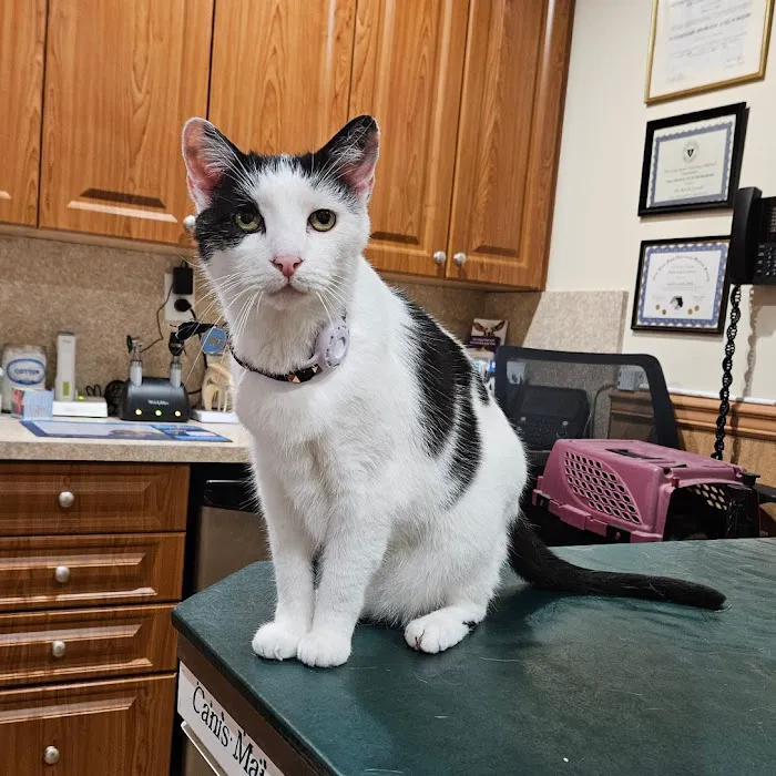The Moriches Hospital For Animals Picture 7