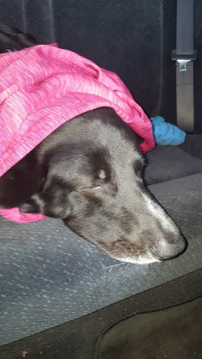 Eastport Animal Hospital Picture 10