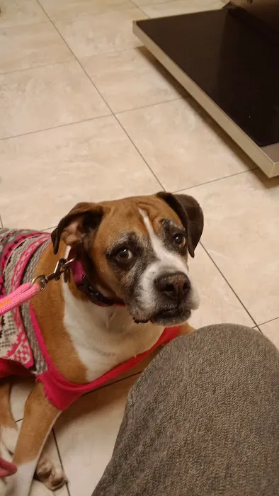 Eastport Animal Hospital Picture 7